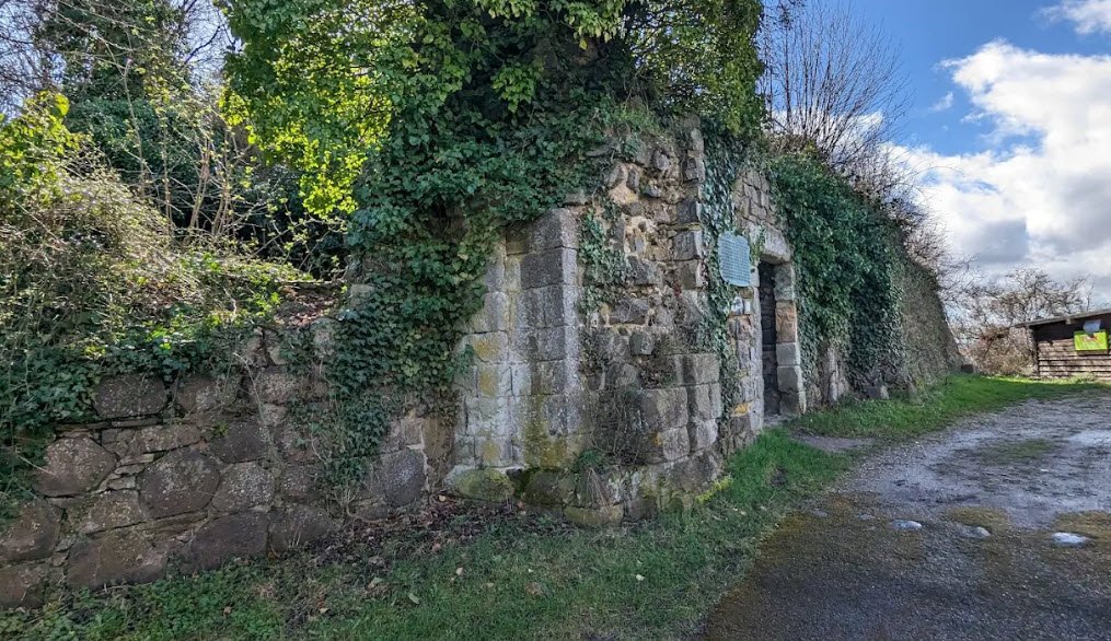 Ruine der Reichsburg Landskron, Bad Neuenahr-Ahrweiler, Germany, Germany